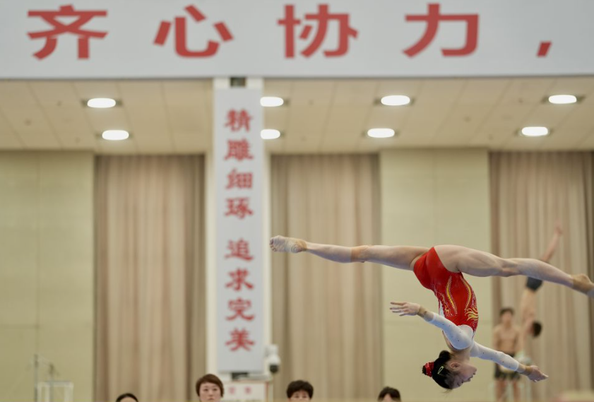 乐鱼体育app：你不可错过的体育娱乐平台（乐鱼体育app：必备的运动娱乐体验平台）